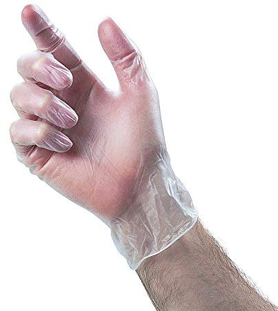 VINYL GLOVES - POWDER FREE, NON LATEX AND CLEAR, Small, Medium or Large100 GLOVES IN BOX - NEW (1, Large)