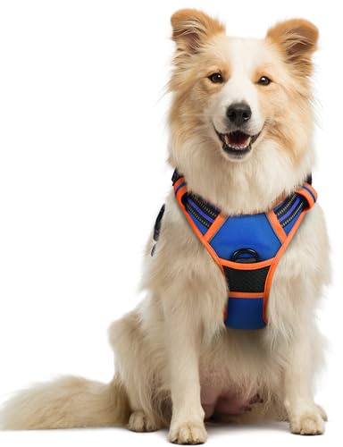 rabbitgoo Hundegeschirr Mittelgroße Hunde Anti Zug, M, Blau & Orange | No Pull & Individuell Anpassbar, Atmungsaktiv Gepolstert, 2 D-Ringe, Schnellverschlüsse, Reflektierend für Gassi & Training