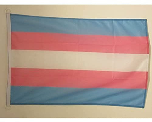 AZ FLAG - Drapeau Arc-en-Ciel Transgenre - 45x30 cm - Pavillon Nautique Lgbt - Trangender - Rainbow Spécial Bateau Et Extérieur En Maille Bloquée Avec Anneaux Plastiques Intégrés - 30g