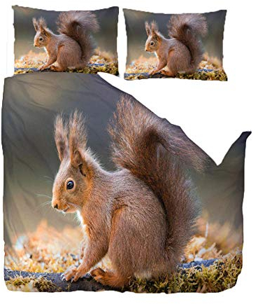 Bettwäsche 135X200 cm Mit Weich Atmungsaktiv Tierisches Kleines Eichhörnchen Bettwäsche Set 3 Teilig 1 Mikrofaser Bettbezug Mit Reißverschluss Und 2 Kissenbezüge 80 X 80cm Für Kinder Erwachsene