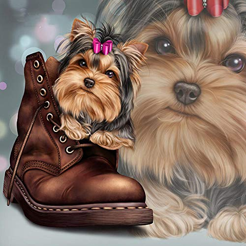 LWOHDKHK Diamant Malerei Kits, DIY 5D Diamond Painting Set, süßer Hund im Schuh Yorkshire Terrier Malen nach Zahlen Diamant, Diamant Painting Arts Craft für Home Wand-Decor