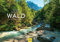Edition Seidel Premium Kalender Faszination Wald 2024 Format DIN A3 Wandkalender Natur Bäume Baum Wälder Mischwald Tannen Peter Schickert
