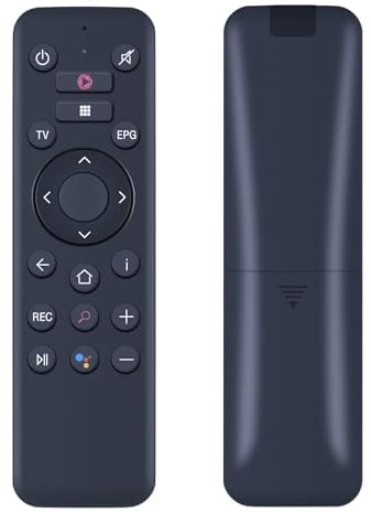 GOUYESHO Ersatz Sprachfernbedienung für Telekom Magenta TV Stick WH211107F