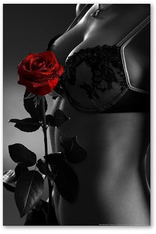 Postereck - 0042 - Sexy Frau, Rose Erotik Sinnlich Blume Rot BH - Erotisch Sexy Nackt Wandposter Fotoposter Bilder Wandbild Wandbilder - Poster - 4:3-61,0 cm x 45,5 cm