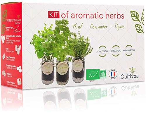 Cultivea® Kit Prêt à Pousser d’Herbes Aromatiques – Graines 100% Bio – Made in France - Jardin Potager d’intérieur - Plante (Menthe, Coriandre, Thym) - Idée Cadeau