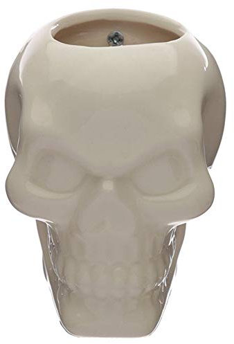 Ceramic Skull Garden Wall Planter