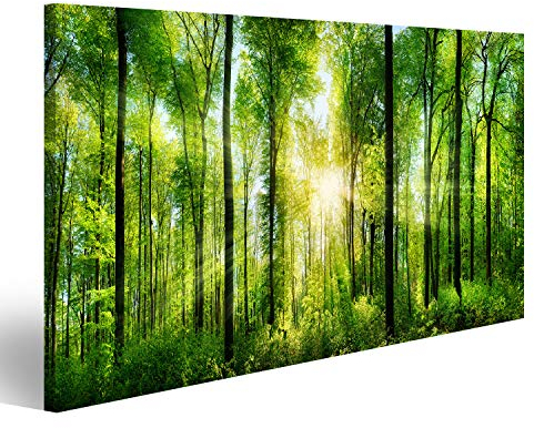 Bild auf Leinwand Panorama Von Einem Malerischen Wald Von Frischen Grünen Laubbäume Mit Die Sonne Wirft Ihre Strahlen des Lichtes Durch Das Laub Wandbild Poster Kunstdruck Bilder 100x57cm