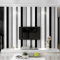 Tapete Moderne Minimalistische Schwarz-weiß Grau Gestreifte Vliestapete Wohnzimmer Schlafzimmer TV Sofa Gestreifte Tapeten 0.53 * 9.5m (0.53 * 9.5m,Streifen)