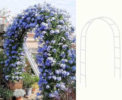 WCQSYY Rosenbogen,Rosenbogen Metall,Mit Basis, Weiß/Schwarz, Rostfest, Kletterpflanzen, Gewölbtes Stahlgewächshaus, Verwendet, Um Kletterrosen Zu Unterstützen,Weiß,W3.5M*H2.2M