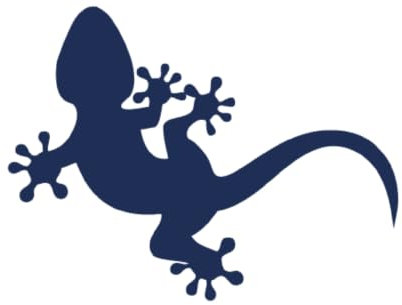 Tattwo.me – Temporäre Tattoos für Erwachsene und Kinder, hält 2 Wochen, wasserfest – Gecko – Pflanzliche Tinte – EU-Kosmetik-Zertifikat – (P0716)