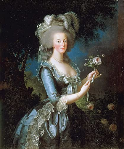 SERENDIPITP Bilder Moderne Druck Leinwand Malerei GemäLde Kunst Bilder Marie Antoinette À La Rose Von Elisabeth Louise Vigee Lebrun Wandkunst Graffiti für Wanddekoration 60x90cm