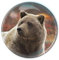Deluxebase Magnidome Grizzly Bear Fridge Magnet – Crystal Glass Dome Animal Magnets for Fridges, Decorative Strong Magnet for Kitchen Accessories, Novelty Gifts and Cute Home Decor.