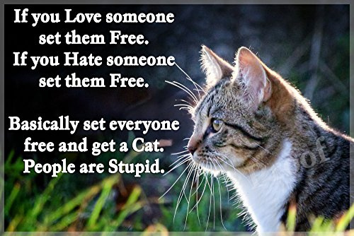 CountryStyle Gifts Tabby Cat Funny Fridge Magnet - Large Acrylic Rectangular for Cat Lovers