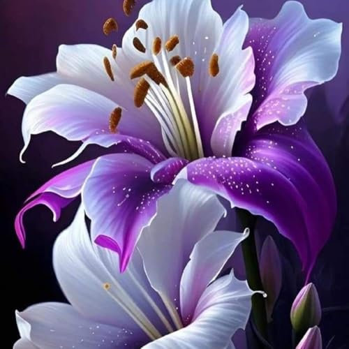 Lilien zwiebeln,Winterharte mehrjährig,Seltene Pflanzen,lilie riesen,lilienknollen,Lilien deko,Lilien im Topf,Asiatische lilien,lilien Zwiebeln Winterhart,lilie forever susan.-2zwiebeln-B