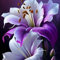 Lilien zwiebeln,Winterharte mehrjährig,Seltene Pflanzen,lilie riesen,lilienknollen,Lilien deko,Lilien im Topf,Asiatische lilien,lilien Zwiebeln Winterhart,lilie forever susan.-2zwiebeln-B