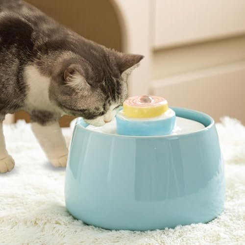 Fontaine à eau pour chat, en céramique, antidérapante, automatique, conçue pour chiens et chats, distributeur d'eau en forme de gâteau bleu, 1500 ml