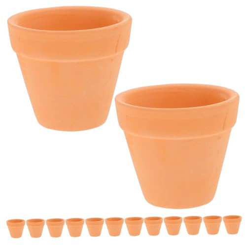 POPETPOP Lot de 12 Mini Pots de Fleurs D'intérieur en Terre Cuite Forme Ronde Élégante Trou de Drainage pour Plantes Succulentes Et