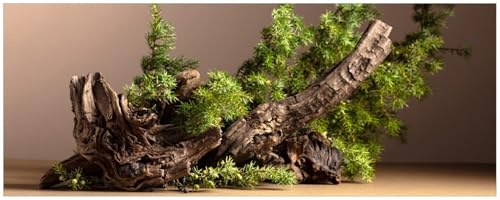 Wallario Küchenrückwand selbstklebend 115 x 50 cm, Motiv: Komposition aus Holz und Grün | Spritzschutz abwischbar & pflegeleicht