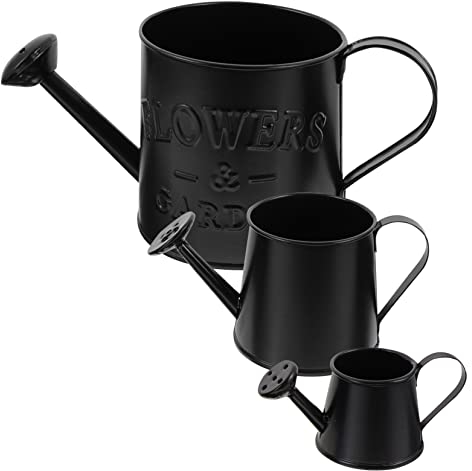 Toyvian 3 Stück Blecheimer Gießkanne Pflanzenvase Bunte Deko-Töpfe Für Pflanzen Metall-Pflanzensprüher Landvase Krug Vase Raumtrockenblumenbehälter Pflanztopf Retro-Blumentopf