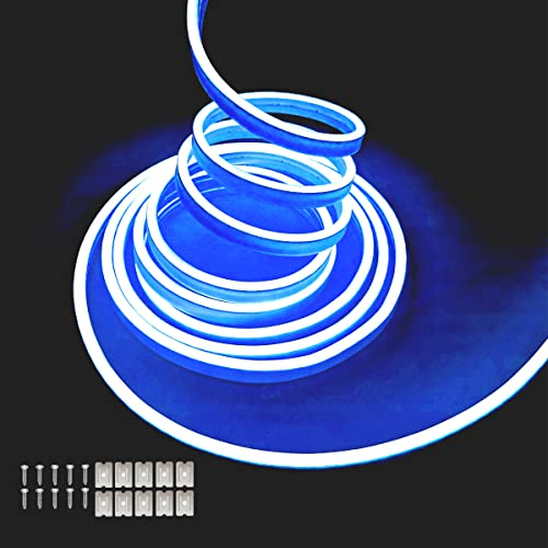 Balabaxer Blau Neon-LED-Streifenlichter, 16,4 Fuß/5 m 16,4 Fuß/5 m 12 V DC 600 SMD2835 LEDs Wasserdichtes Lichtschlauch für Indoor Outdoor Home Decoration (ohne Antrieb)