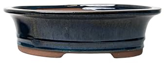 Pots à bonsaï en céramique émaillée sans plateaux Bleu 20 cm