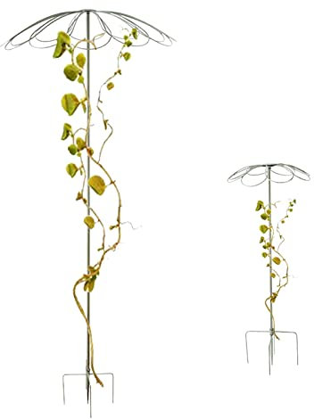 LYXWGRZD Wrought Iron Garden Obelisk Trellis,Climbing Plants Flower Support 2 Pcs Distressed Craftsmanship,for Indoor/Outdoor Planter Pots And Flower Beds Decorative (Color : Vintage white)