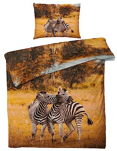QEODAH Zebra Bettwäsche 135x200 Winter - Wilde Tiere Bettbezug 135 x 200 2er Set - Wendebettwäsche & Kissenbezug - Weiche Mikrofaser Bettwäsche-Sets mit Reißverschluss - Schlafzimmer Bett Deko