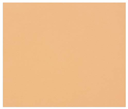 Clairefontaine 960487C Ries mit 100 Blatt Zeichenpapier Tulipe, 160g, DIN A4, säurefrei, 100% Zellulose, 1 Ries, lachs
