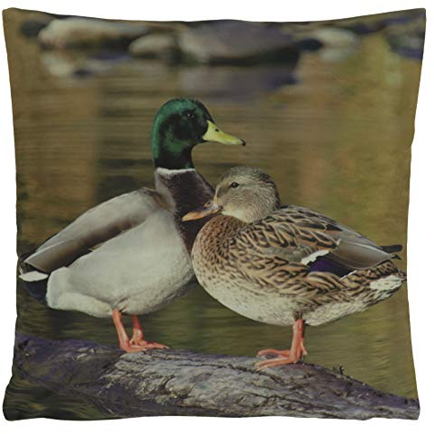 Kissenhüllen Kissenbezug 40x40 Kissen Dekokissen Kuschelkissen Tiermotive (Wildenten Enten)