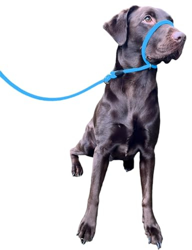 No More Pulling! Anti Pull Lead Field Figure 8 / Halter/Head Collar One Size Fits All Super Soft Braided Nylon Comfortable Make Your Walks More Enjoyable -Instructions Included.
