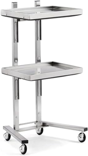 LIJBDDM Edelstahl-Salon-Tablett mit Rädern, Tattoo-Shop, faltbarer Multifunktionswagen, 2-stöckig, faltbares Aufbewahrungsregal für Salon, Spa und Friseurladen, Tattoo, medizinisch, Zahnarzt (Farbe: