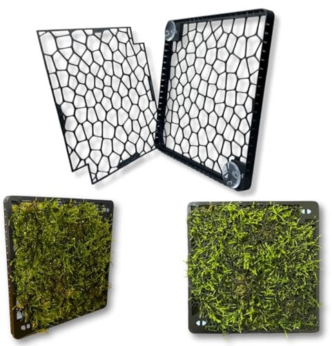 Mooswand Aquarium – Rückwand-Gitter zum Begrünen – Slim Design mit Saugnapf – für Moos & Aufsitzerpflanzen – Aquarium Pflanzen Zubehör (Saugnapfbefestigung)