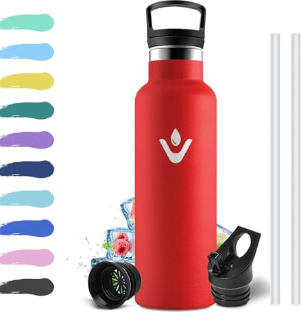 Borraccia Termica 500ml, Borraccia con Cannuccia, senza BPA, Isolamento Sottovuoto a Doppia Parete, Riutilizzabile, a Prova di Perdite, Borracce per Uffici, Palestra, Viaggio, Campeggio, Scuola