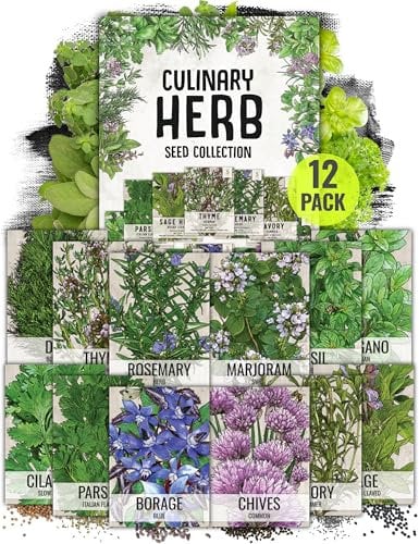 Non-GMO Culinary Herb Seed Collection| 12 Individual Seed Packets Incl. 4|000+ Seeds Collectively (Sage| Basil| Chives| Cilantro| Rosemary| Dill| Marjoram| Oregano & More!) Seeds by Seed Needs