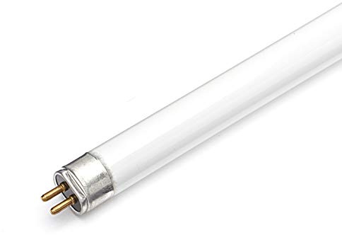 Osram,2 x 453.477 Leuchtstoffröhre Licht 24 Watt, Lichtfarbe, HO 24 W/Leuchtstoffröhre Lichtschlauch G5 T5 Cool White 549 mm 16 mm