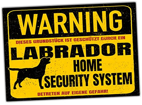 Labrador Labby Schild Warning Security System Türschild Hundeschild Warnschild Hund