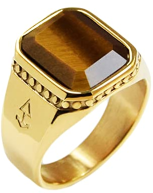 Rock and Steel Herren Zeus Ring Siegelring mit Tigerauge Stein, Gold Edelstahl, Tigerauge Ring (60 (19.1 mm))