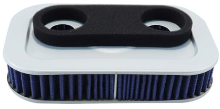 Voyoo Filtro Aria Moto Compatibile con Sportster 1200 Anniversary XLH1200 1993, 1200 Custom Anniversary XL1200C 2003