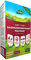 Westland Smart & Quick Rasensamenmischung Nachsaat, 1,5 kg, 60 m² – Gras-Saat mit Startdünger für gesunden und dichten Rasen
