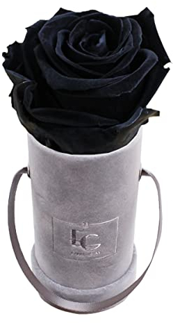 EMMIE GRAY CLASSIC INFINITY ROSENBOX | VELVET GRAY | Runde Flowerbox - Infinity Rosen in grauer Samtbox - 1-3 Jahre Haltbarkeit - Echte Rosen, die jahrelang blühen - Haltbare Rosen (XXS, Black Beauty)