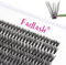 Fadlash Estensione Ciglia Individuali Spessore 0.07mm 40 Root C Curl 10mm Lunghezza Singola Ciglia a Grappolo DIY Individuali