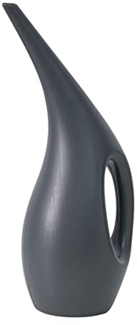 Arrosoir pour Plantes d'intérieur, arrosoir avec Long Bec, arrosoir à col Long pour Plantes d'intérieur pour arroser et fertiliser Les Petites Plantes de Taille Moyenne