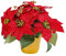 LOVIVER Roter Weihnachtsstern im Topf, künstliche rote Weihnachtsstern-Pflanze, künstliche Weihnachtsblume für Weihnachtstischdekoration,