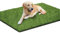 Nchdewui 2 Pcs Tapis d'herbe pour Chien, Bacs À Litières pour Chiens, Gazon-Artificiel Durable, Facile À Nettoyer, Litiere Chien pour L'intérieur Et L'extérieur (50 * 70cm)