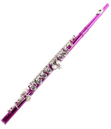 Querflöte 16-Loch-Flöte Mit Geschlossenem Loch Und C-Stimmung B-Schwanz E-Klappe Pink Nickel-Klappe