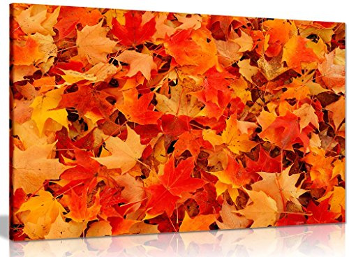 Leaves Art Autumn Red Orange Canvas Wall Art Picture Print (36x24in)