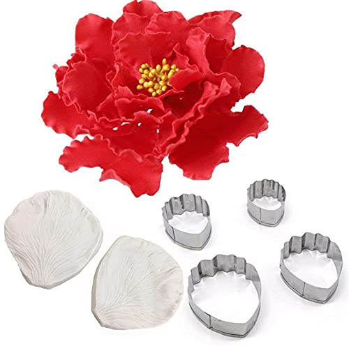 DUBENS Pfingstrose Blume Dekorieren Set Veiner Form für Blütenblatt Korn Stainess Stahl für Zucker Blume Design Fondant Kuchen Werkzeuge DIY Backformen