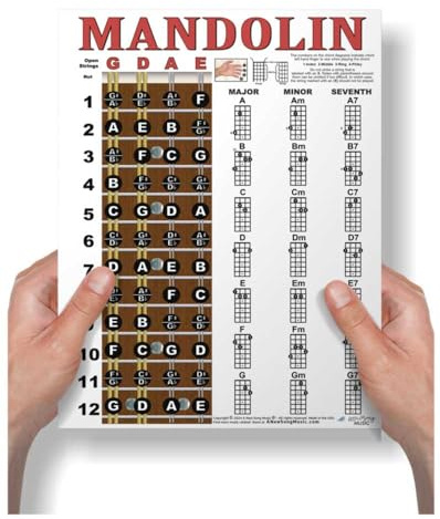 Mandolin Chord Chart Fretboard Notes Note Map Poster 8.5x11 | Learn mandolin faster with 21 major minor & 7th chords fretboard notes lessons music teachers classrooms home practice