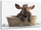 DARO Design - Toiletten-Bild auf 6mm HDF 30x20 cm Baby Elch in der Badewanne - Wand-Deko Bilder Lustiges Geschenk