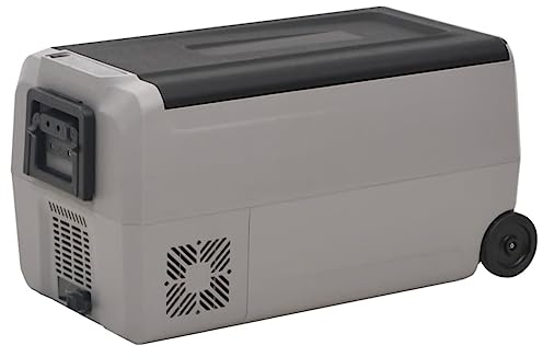 Nevera portadora de alimentos y bebidas con rueda y asa, color negro y gris, 50 L PP&PE Home & Garden